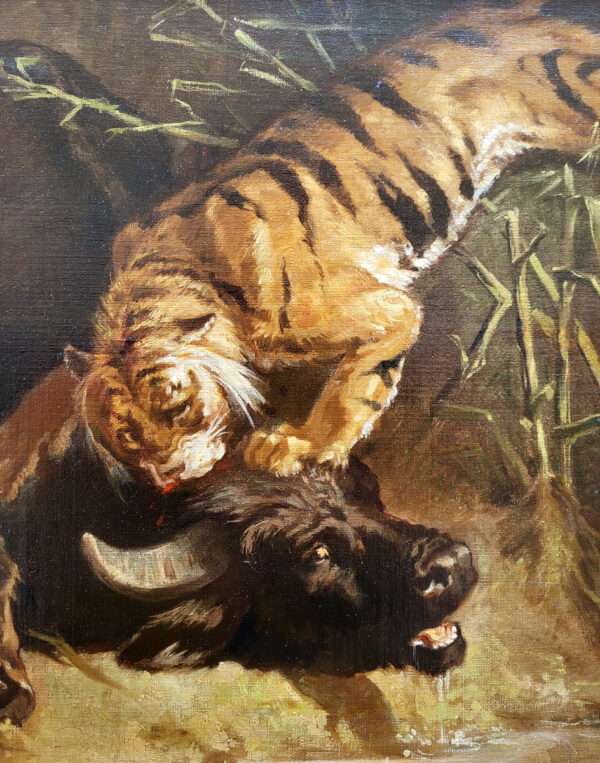 huile-sur-toile-scene-de-chasse-tigre-attaquant-un-buffle-19-eme-2